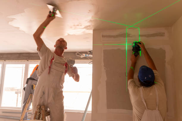 Best Drywall Sanding and Smoothing  in Hopkinsville, KY