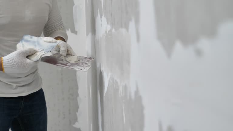 Best Drywall Repair  in Hopkinsville, KY